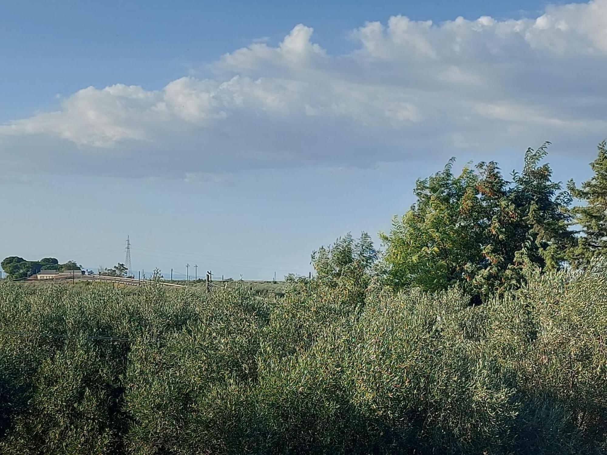 La Villa Del Conte Barletta Exterior photo